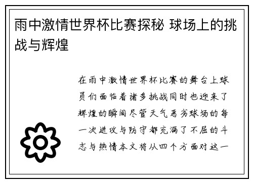 雨中激情世界杯比赛探秘 球场上的挑战与辉煌